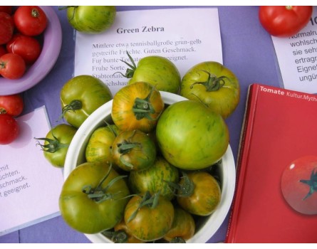Tomatensorte Green Zebra