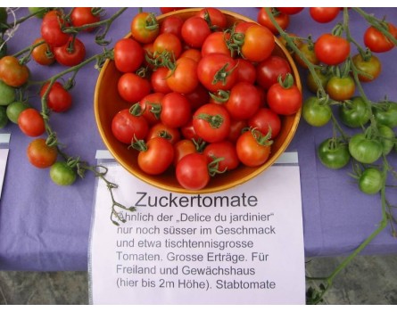 Tomate, Zuckertomate (Bio-Saatgut)