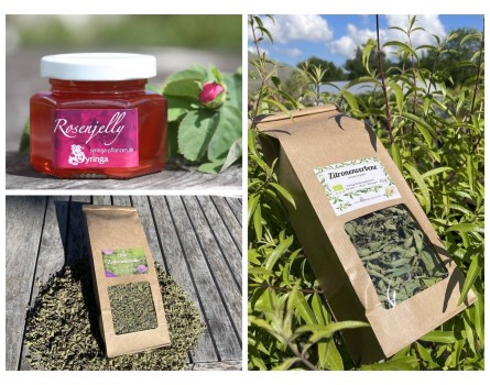 Bio-Feinschmecker Geschenkpaket