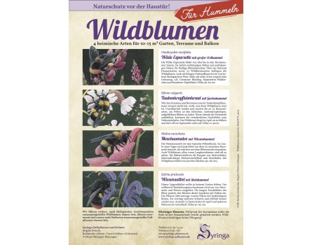 Samen-Set für Hummeln, Wildblumen 