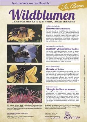 Samen-Set für Bienen, Wildblumen 