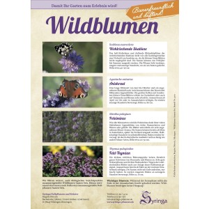 Samen-Set für Bienen