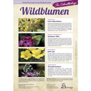 Samen-Set für Schmetterlinge