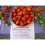 Tomate, Zuckertomate