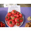 Tomate, Berner Rose, Lycopersicon lycopersicum