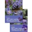 Das Wildpflanzen Topfbuch