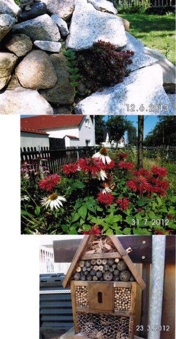 Garten Garten