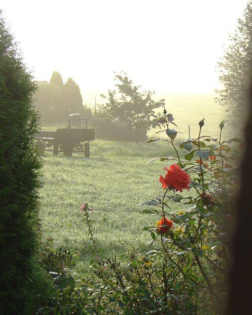 Garten Garten