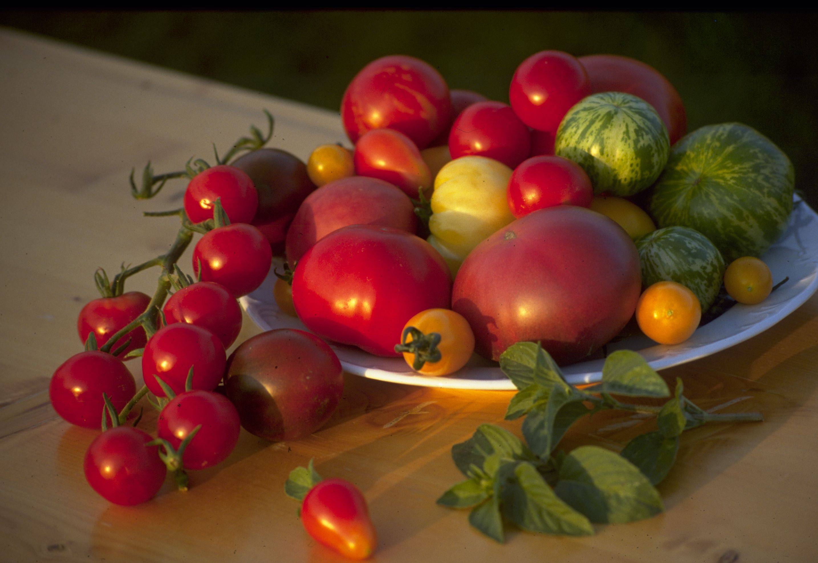 Tomatensorten