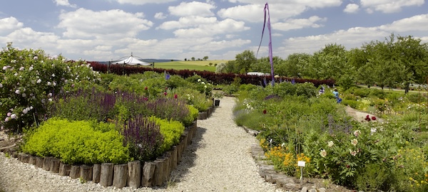 Garten Garten