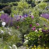 Duftgarten