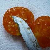 Tomaten